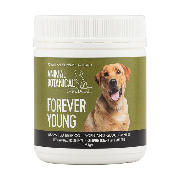 FOREVER YOUNG - Pemf Pulse and Wellness