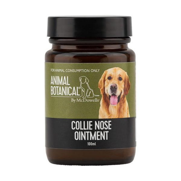 COLLIE NOSE OINTMENT - Pemf Pulse and Wellness